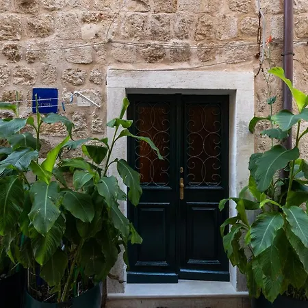 Bed and Breakfast Buza House *