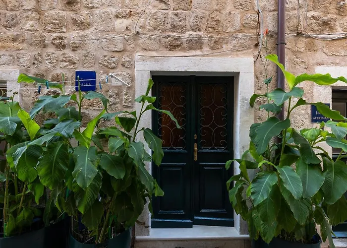 Bed & Breakfast Buza House *