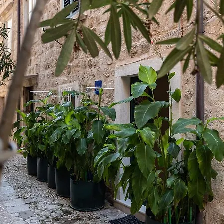 فندق مبيت وإفطار Buza House *